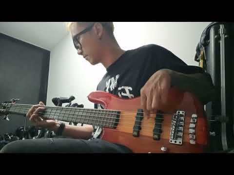 warwick proseries streamer stage1