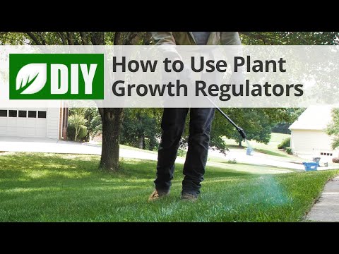  How to Use Plant Growth Regulators Video 