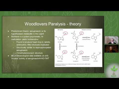 EGA Microdose Webcast 6: Woodlover Paralysis with Symon Beck and Caine Barlow