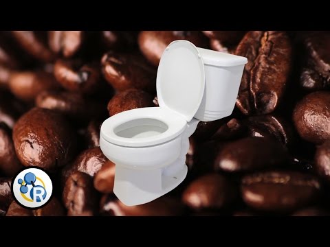 “Why does coffee make you poop?” Four videos.