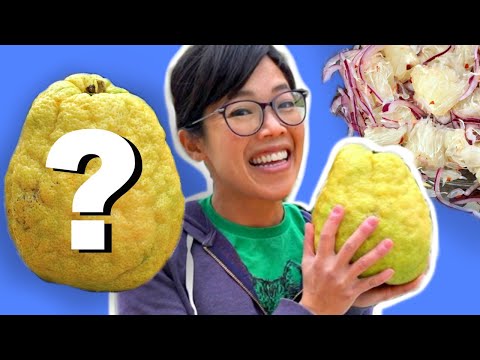 download lagu mp3 mp4 Fruits That Go Well With Lemon, download lagu Fruits That Go Well With Lemon gratis, unduh video klip Fruits That Go Well With Lemon