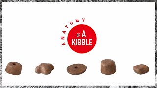 ANATOMY OF A KIBBLE | CAT ROYAL CANIN
