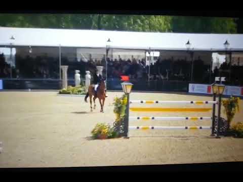 CSI5* Windsor 2019 / Kévin Staut & For Joy van't Zorgvliet*HDC - barrage, 1,55m