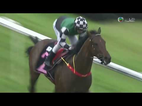 2018 (1427) - Nepean (尼佩恩) - M.Kellady