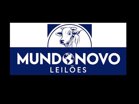 LEILÃO DE INAUGURAÇÃO MUNDO NOVO LEILÕES