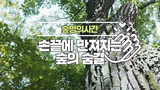 [#숲멍의시간