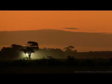 Freight Train In The Distance - PoathTV Australian Trains & Railways 2017