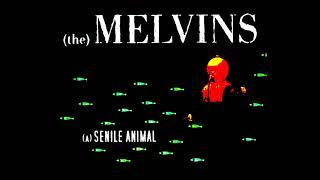 (the) Melvins  - Rat Faced Granny (2006) (A) Senile Animal