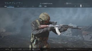 ウィールソンつおーいwww  Call of Duty®: Modern Warfare® - Open Beta