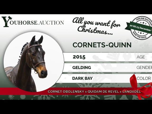 Cornets-Quinn 1.45 class outdoor