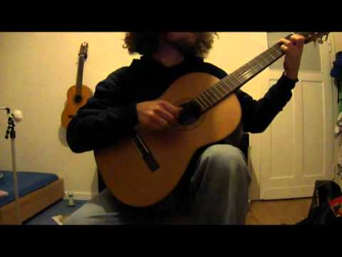 David Qualey - Opus 20(Cover) video thumbnail