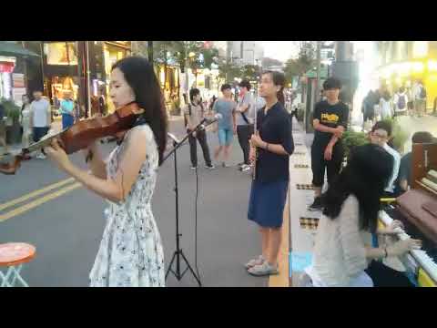 비디오 5