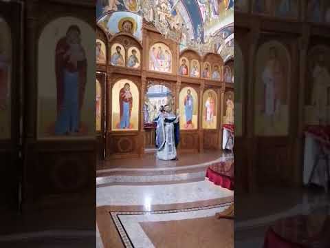 ЖЕНА ХАНАНЕЈКА