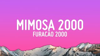 Download lagu Furacão 2000 - Mimosa 2000 (Letra/Lyrics) mp3 Download lagu Furacão 2000 - Mimosa 2000 (Letra/Lyrics) mp3