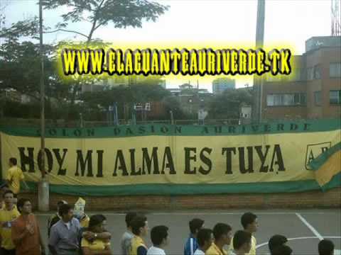 FORTALEZA LEOPARDA  SUR - COLON PASION AURIVERDE