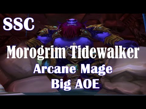 TBC Classic: Morogrim Tidewalker - Serpent Shrine Cavern | Arcane Mage POV
