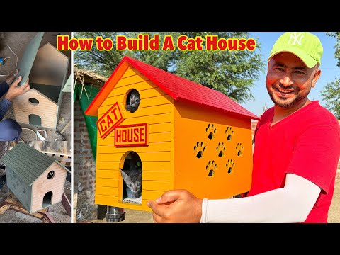 Maine Cats k liye Cat House Bana liya😱