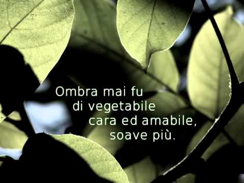 download lagu mp3 mp4 Ombra Mai Fu Text, download lagu Ombra Mai Fu Text gratis, unduh video klip Ombra Mai Fu Text