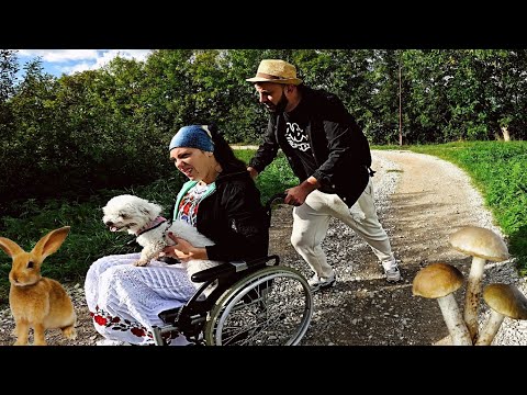 Povestea Marioarei 8