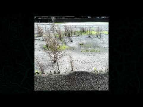 dreamlogicc - The Alternative Slumber - ptdm20201ep