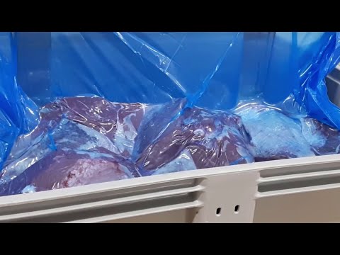 YouTube video: Dolav filling and vacuum packaging with beef meat and dry ice