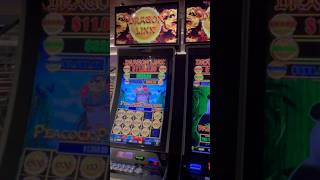 MSC Seashore Casino Deck 7 #shorts  #slots #casino #fun #vlog