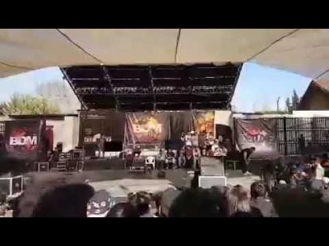 BDM Gold Chile 2016 / SEÑORA APOYA A QUE LA LUZ VUELVA