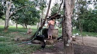 Download lagu peb mus ua teb nthua  npleb peb tug hluas nkauj los da dej  rau sawv dlaws saib mp3