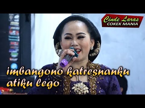 cokek sragen terbaru 2023 mc tomo & ririk karawitan cinde laras joss