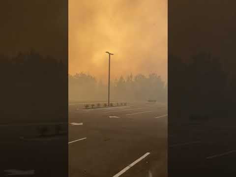 Firefighters Battle to Contain Roaring Wildfire in Harrison County in Mississippi - 1118776
