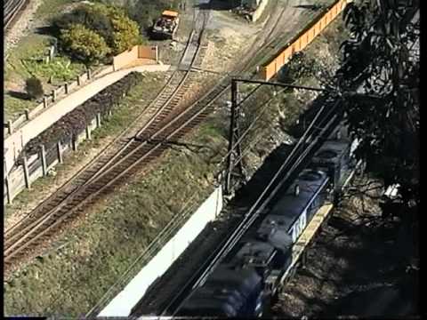 Freightcorp wheatie Zig Zag