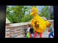 Opening To Sesame Street Get Up And Dance 2003 DVD