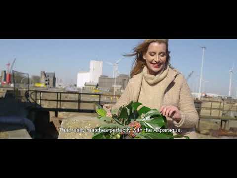 Evanthia | Antwerp Evanthia Greens