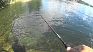Graphiteleader nuovo finezza gonfs - 962l t