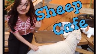 Part Time Job, Sheep Cafe, & Couple Rings in Hongdae