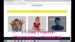 Net Spam a Network based Spam Detection Framework for Reviews in Online Social Media