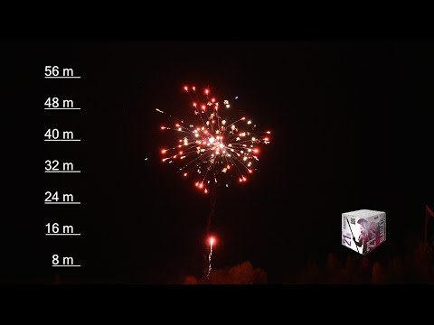 TB196 „Gladiator“