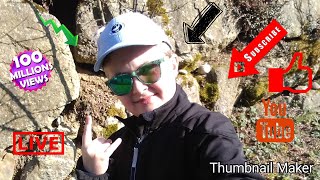 приколы с барбоскиными
