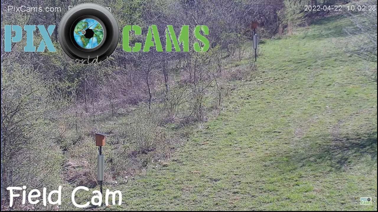 Live webcam view of Cámara del Campo de Fauna Silvestre
