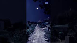 Download lagu Bright Night mp3 Download lagu Bright Night mp3