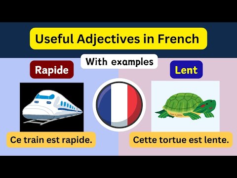 Master French Adjectives: Learn Opposites with Real-Life Examples! 🇫🇷✨