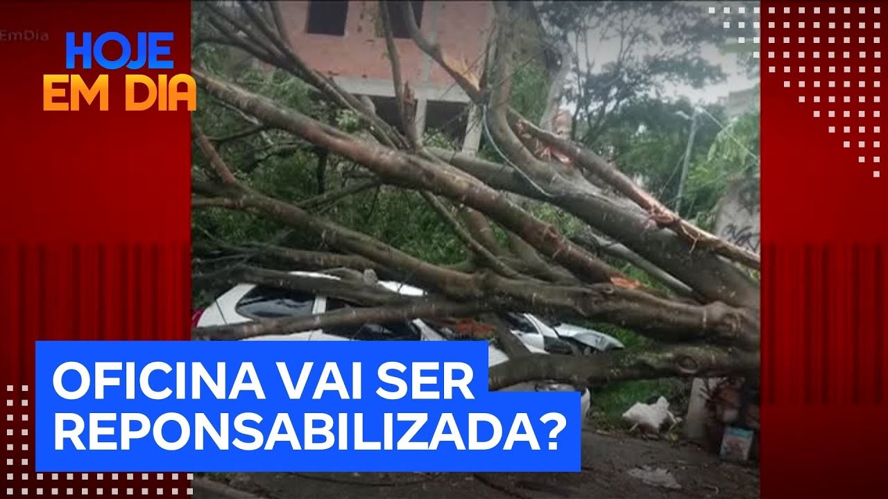 Patrulha do Consumidor: Queda de árvore danifica carro que estava na funilaria para reparo