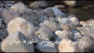 Download lagu Walqalbu wama yahwa.  Lirik arab mp3