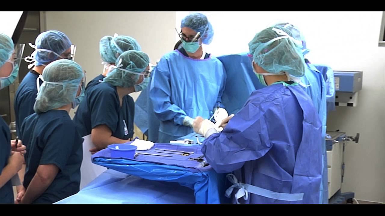 Surgical Technology Program Profile