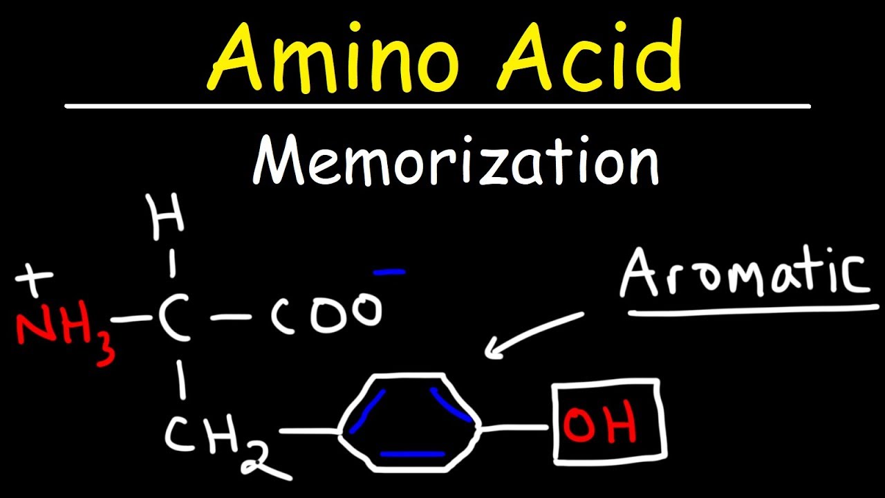 Memorize The 20 Amino Acids - The Easy Way!