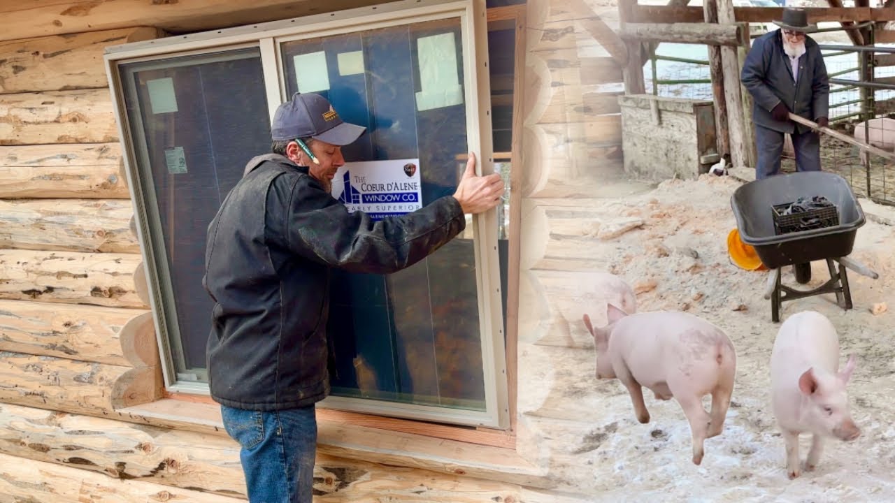 The Log Cabin is Nearly Complete, Now Corral Dads Pigs!