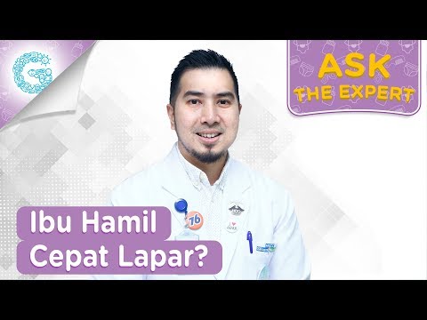 download lagu mp3 mp4 Tips Ibu Hamil Cepat Lapar, download lagu Tips Ibu Hamil Cepat Lapar gratis, unduh video klip Tips Ibu Hamil Cepat Lapar