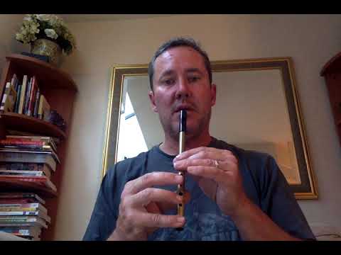 Basics of Irish Tin Whistle (Penny whistle) or (Pennywhistle) : buying, holding, blowing