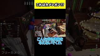 くそ手抜きのアホみたいな隠れ方で擬態でもなんでもなくて神ww　#めっちゃカメレオン  #shorts