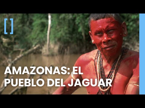 Dentro del Javarí: Tribu Matís contra todo pronóstico | Documental